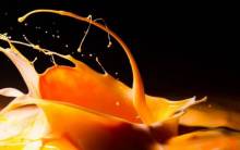 Orange Splash - Full HD Wallpaper
